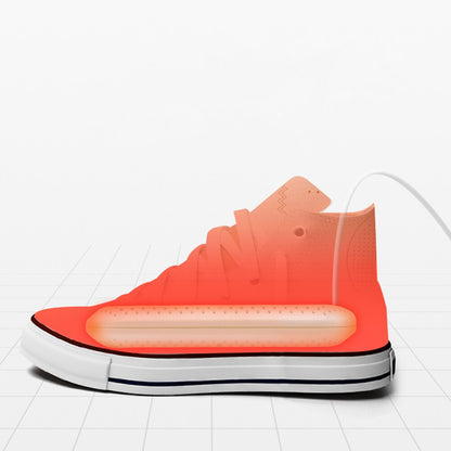 Secador de zapatos electrico FK22B-66